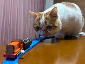 ウンコう日誌（第831号）